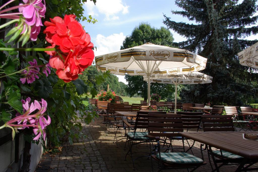 Hotel In Der Muehle Werdau Bagian luar foto